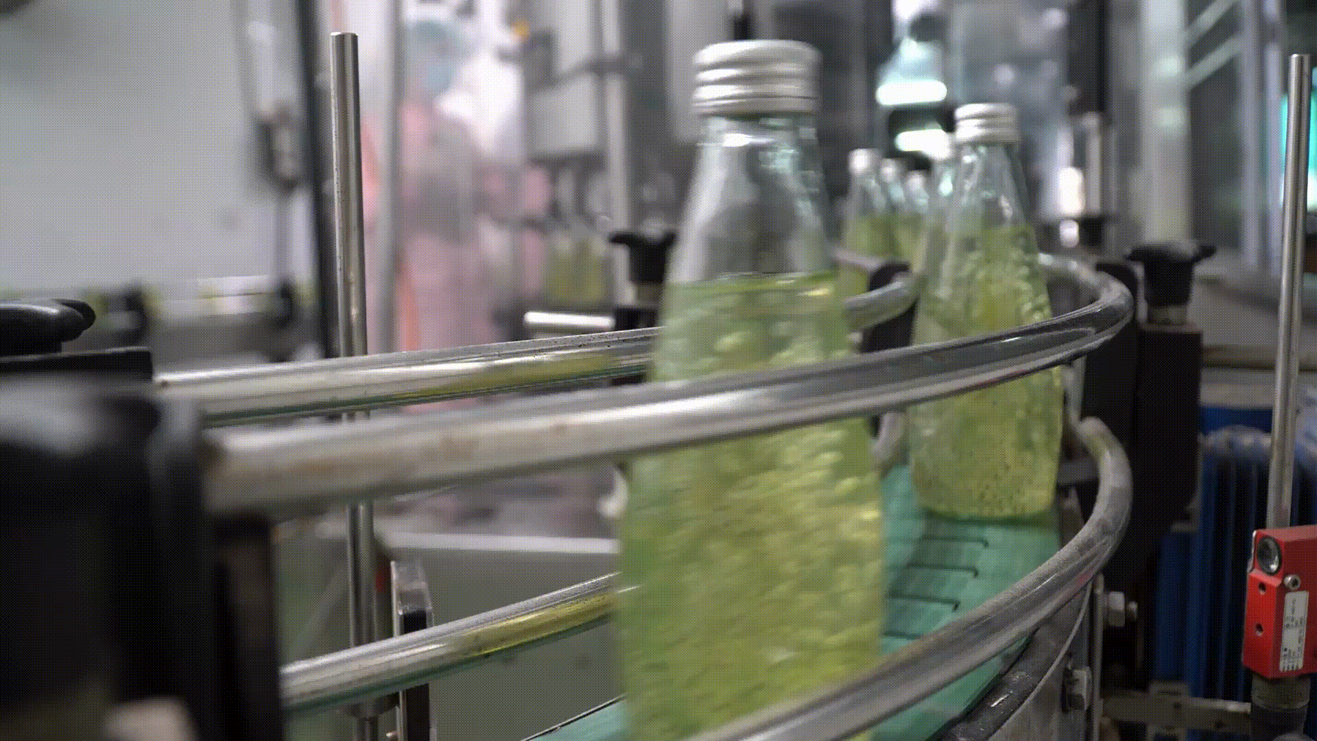 Manufacturing factory with small bottles of green beverages on conveyor belt