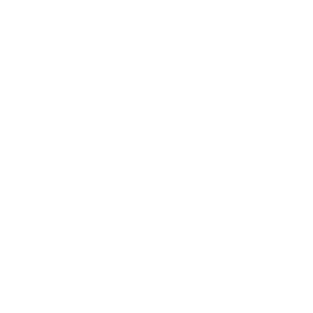 白色刻度图标